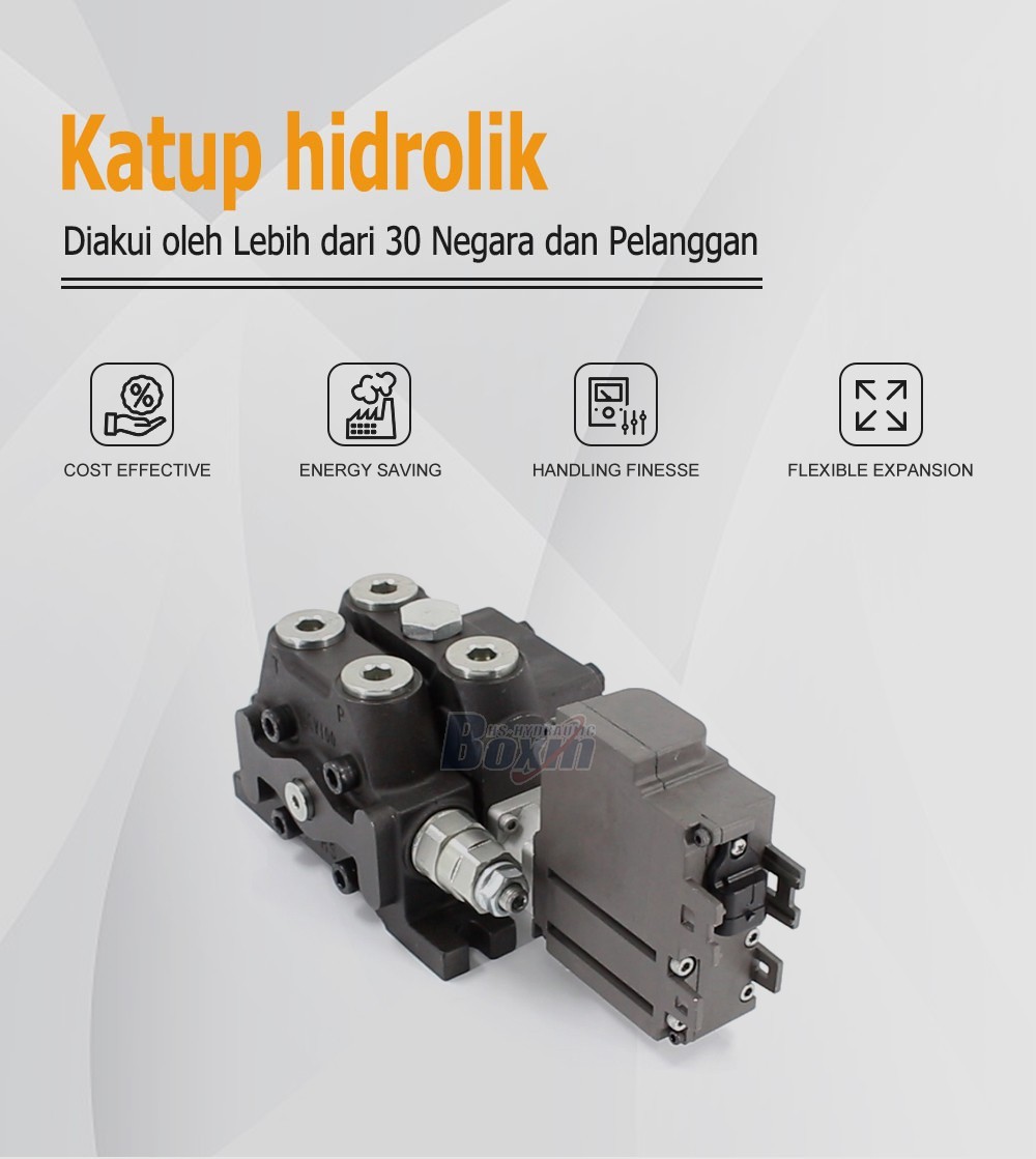 Durable DCV100EMA-OT 1 Spool Sectional Directional Valve with Integrated Electric Motor